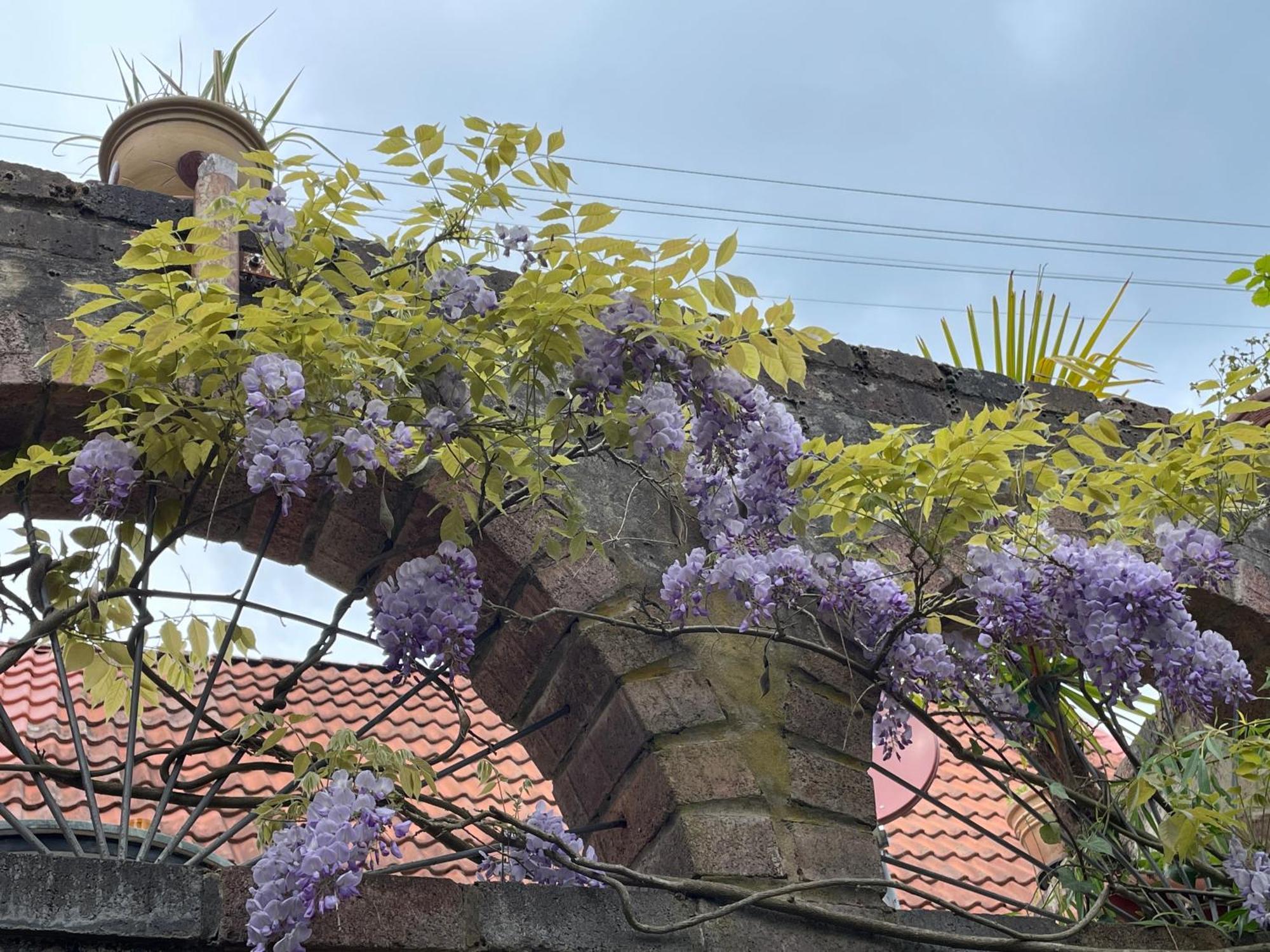 Villa "Casita Linda "Am Donnersberg Dannenfels Exterior foto